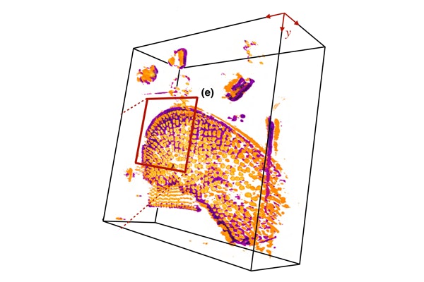 Deep 2024 learning 3d