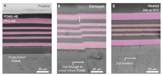 A recent study by Christopher Cooper shows autonomous alignment and healing between immiscible dynamic polymers in a multilayered film. Cross-sectional optical microscope images of (A) the pristine hot-pressed multilayer laminate, (B) the damaged and misaligned laminate, and (C) the healed and realigned laminate after annealing for 24 hours at 70°C. The cross-linked PDMS substrate (bottom layer) was unable to heal and marks the damage site.