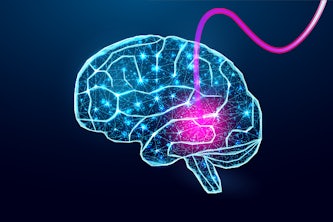 Song Hu and collaborators plan to develop a bi-directional, fiber-optic interface that will allow high-resolution imaging and focal manipulation of neurovascular function in the hippocampus of mice with Alzheimer’s disease. (Image: Aimee Felter and iStock photo)  