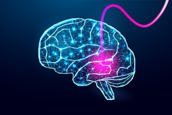 Song Hu and collaborators plan to develop a bi-directional, fiber-optic interface that will allow high-resolution imaging and focal manipulation of neurovascular function in the hippocampus of mice with Alzheimer’s disease. (Image: Aimee Felter and iStock photo)  