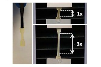 The mussel foot protein hydrogel set-up for tensile strength measurements. The measurement (labeled in white) shows the hydrogel at its original gage length. During testing, the hydrogel stretches to approximately three times its original gage length. (Image courtesy of Fuzhong Zhang)