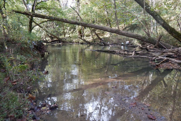 Stream sediment at Oak Ridge (Photo: Elaine Flynn)