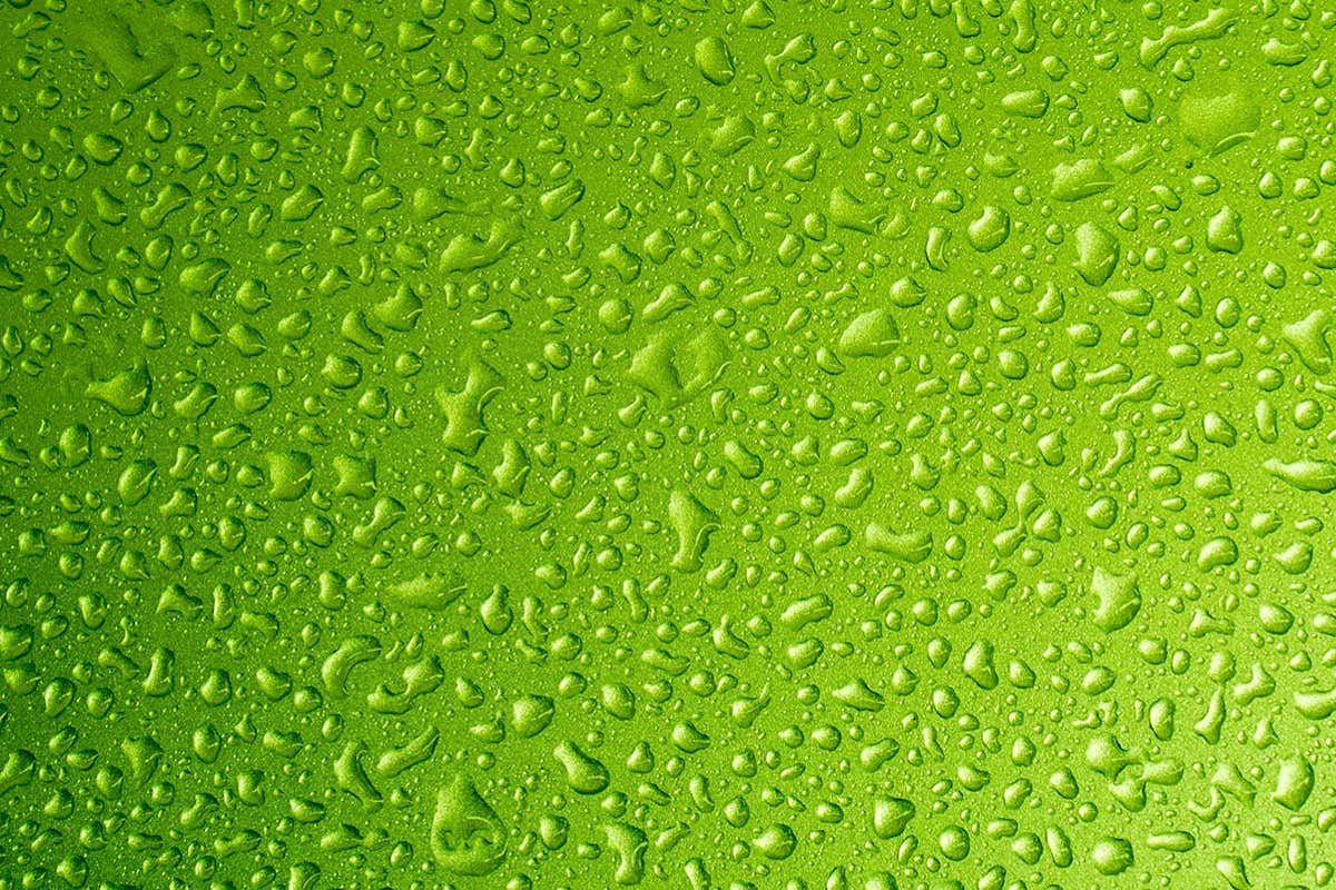 Biomolecular condensates often appear like shapeshifting droplets but have important jobs to do in the cell including potentially suppressing effects of mutations that cause neurodegenerative diseases like amyotrophic lateral sclerosis (ALS). (Photo: Shutterstock)
