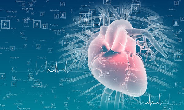 Jonathan Silva and Jeanne Nerbonne led a team that found that two drugs sometimes prescribed to treat arrhythmias affect heart atria and ventricles differently depending on the molecular composition of the sodium channels expressed. (iStock photo)