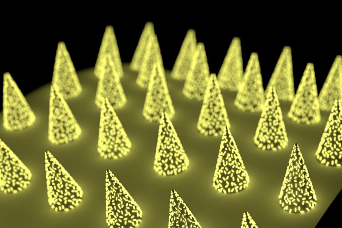 Engineers at the McKelvey School of Engineering at Washington University in St. Louis have developed a microneedle patch that can be applied to the skin, capture a biomarker of interest and, thanks to its unprecedented sensitivity, allow clinicians to detect its presence.