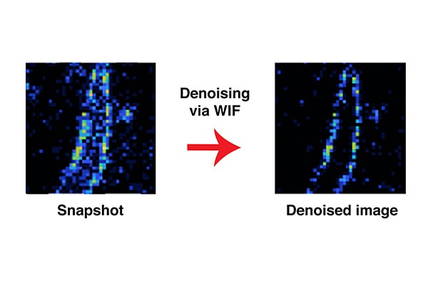 Researchers from the McKelvey School of Engineering have developed a computational method that allows them to determine not if an entire imaging picture is accurate, but if any given point on the image is probable, based on the assumptions built into the model. Here, an image of an amyloid fibril before and after applying the method known as WIF. (Image: Lew Lab)