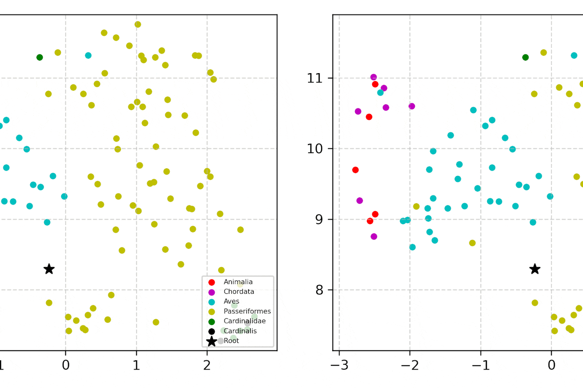 Fine-grained classification of images of species is a hallmark of biology and computer vision, but achieving this other than at the most granular stages of hierarchy can be difficult. A new model could change that, thanks to new research from Nathan Jacobs’ lab. (Credit: Srikumar Sastry)