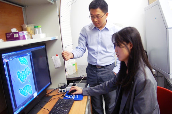 Professor Fuzhong Zhang and PhD student Xinyue Mu look over microscope images of E. coli used in bioproduction. (Photo: Leah Shaffer/Wash U)
