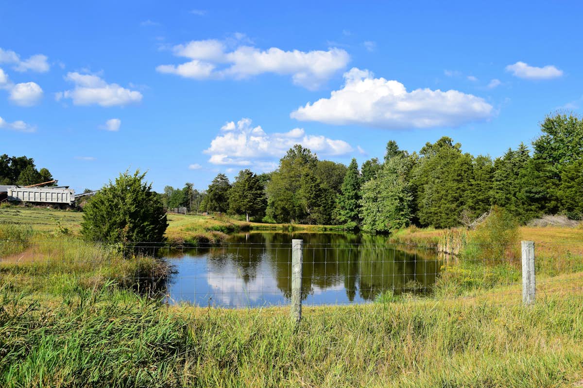 Research in Dan Giammar’s lab on how to remove selenium contamination from water could ensure safe treatment of water from agricultural ponds, mining discharge or power plant wastewater. (Ginger Jordan on Unsplash)
