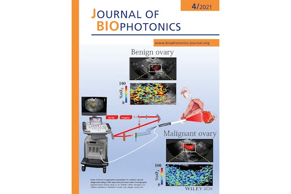 The results of the work are published as the inside cover story in the April 2021 issue of the Journal of Biophotonics.