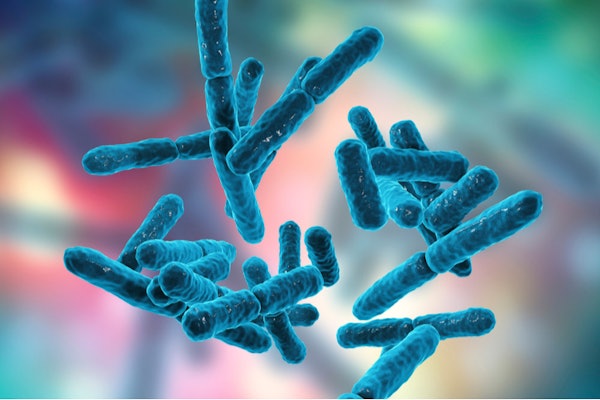 Associate Professor Tae Seok Moon is developing a kill switch for bacteria so they can do a job and then self-destruct. He plans to eventually use such switches in the human body, adding them to probiotics such as this one, Bifidobacterium. (Image: Shutterstock)