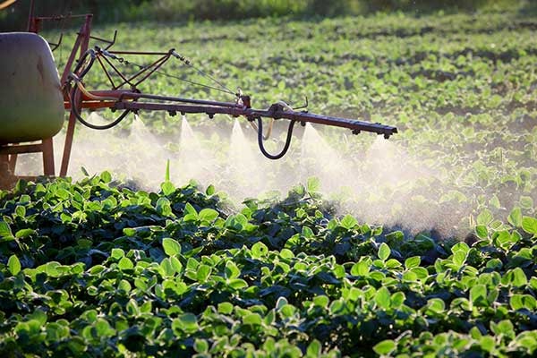 Farmers have found that even with precise application, the popular herbicide dicamba can still spread and cause damage to crops that can't tolerate it.